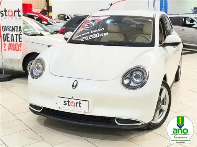 GWM Ora 03 Skin (elétrico) 2024