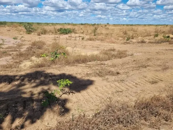 Fazenda a venda na região do Matopiba PI 15.328 hectares, região grande expansão agricola