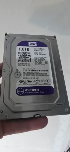 Hd 1 tera wd perple sata 64mb cache usado