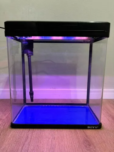 Aquário Boyu Ms-420 Curvo 31l Com Filtro + Iluminação Led