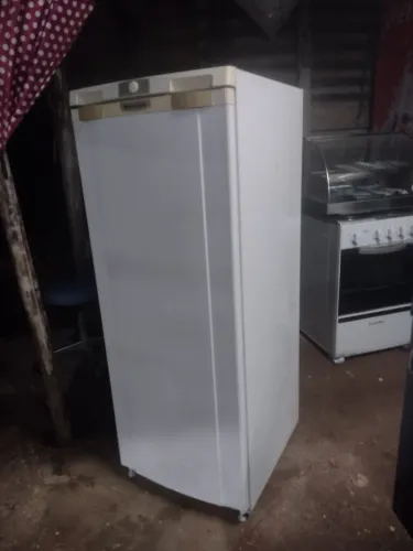 Geladeira degelo funcionando perfeitamente 500