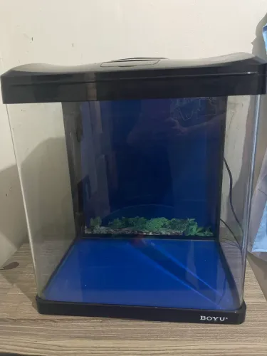 Aquario BOYU EC400 . 33 litros. Comprado em Maio/2026