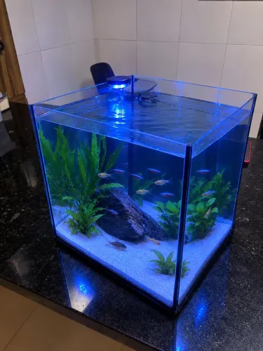 Aquário 27 litros