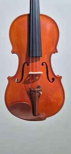 Violino tcheco de entrada