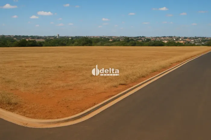 Terreno comercial de 5.000 m², disponível para venda no Centro Empresarial Leste em Uberlâ