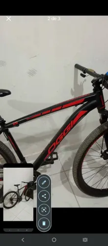 Bike oggi 29