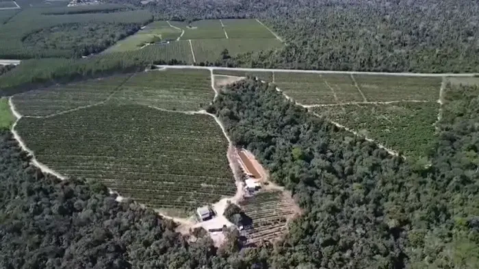 Área Rural à Venda em Aracruz/ES | A partir de 30.000 m² | Próxima ao Porto da Imetame
