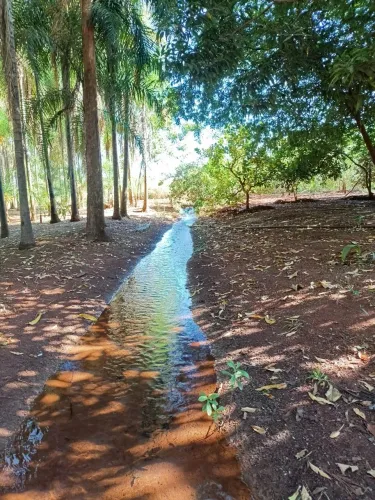 Vendo uma área rural com 42 Hectares Maurilândia GO