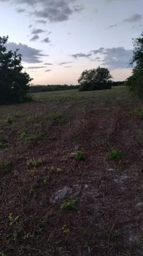 Terrenos na zona rural de Beberibe
