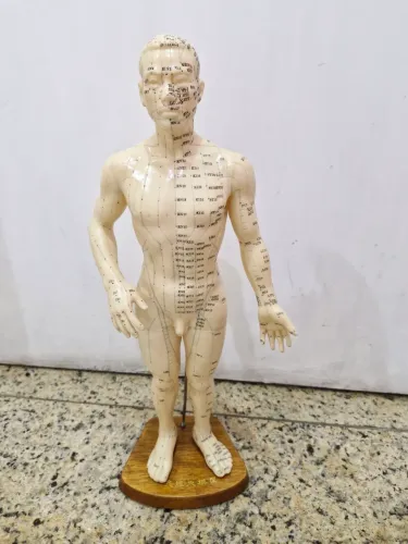 Boneco de Acupuntura Pontos e Meridianos 50cm
