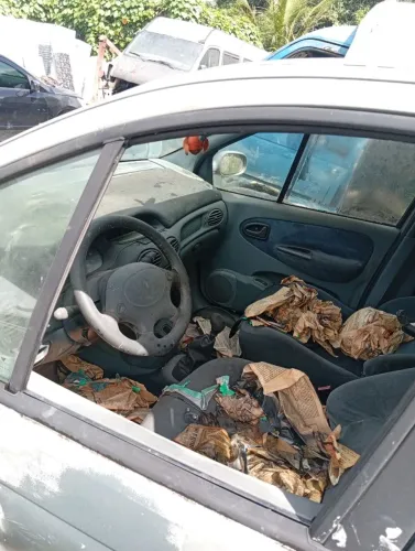Renault Scenic RXE Egeus 2.0 2022