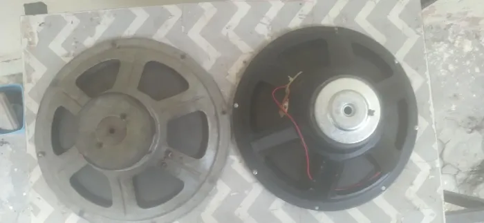 VRNDO 2 FALANTES DE 12 POLEGADAS