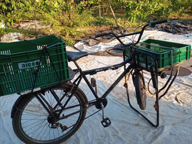 Bicicleta cargueira