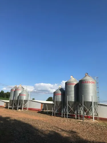 Granja avícola/9,2 hectares/ RS
