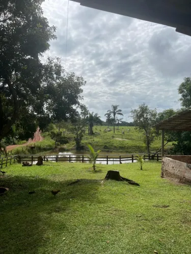 Vendo fazendinha em Caracarai 