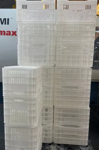 Caixas Agrícola Hortifruti para Câmara Fria branco natural
