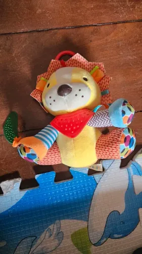 Leaozinho didático 