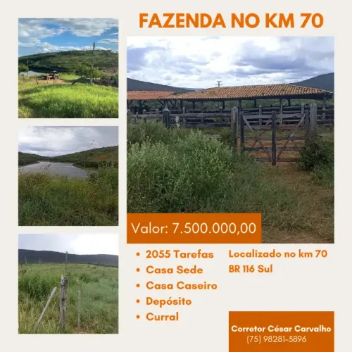FAZENDA KM 70 BR 116 SUL