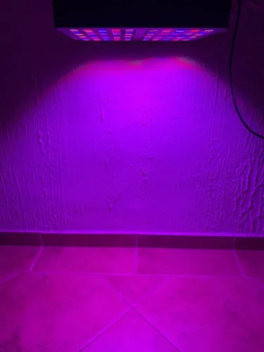 ? LED Viper Full Spectrum 1200W - Alto Desempenho | Perfeito para Cultivo Indoor