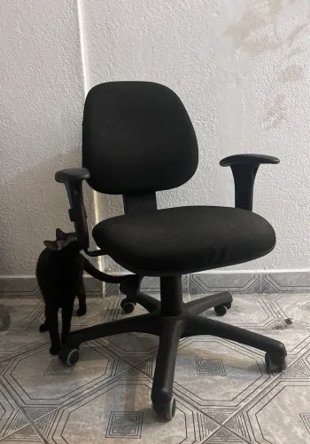 Cadeira de escritório Flexform