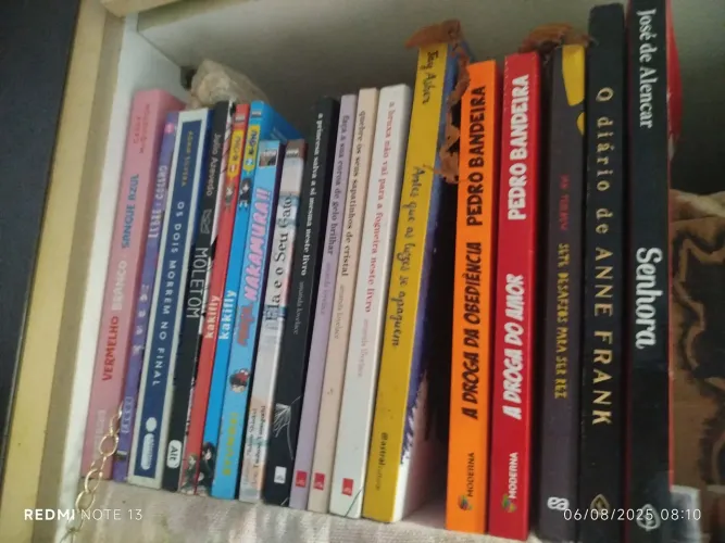 Livros diversos de gêneros diversos 