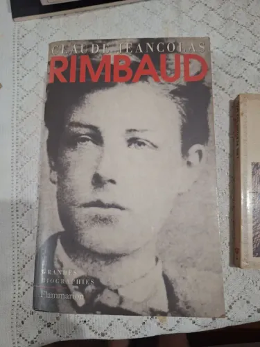 Rimbaud e as Flores do Mal, Baudelaire