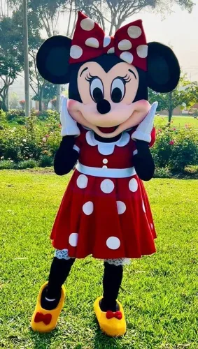 Minnie Mouse Fantasia para festas