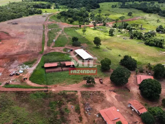 Fazenda 314 alqueires (1.519 hectares) Fatima - TO