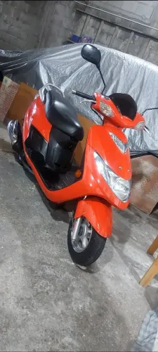 Burgman 2008 