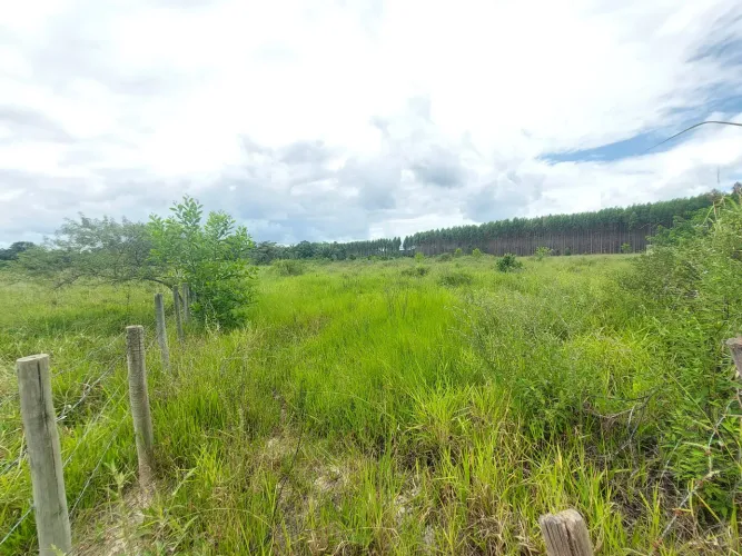 Vendo Área Rural em São Mateus - ES