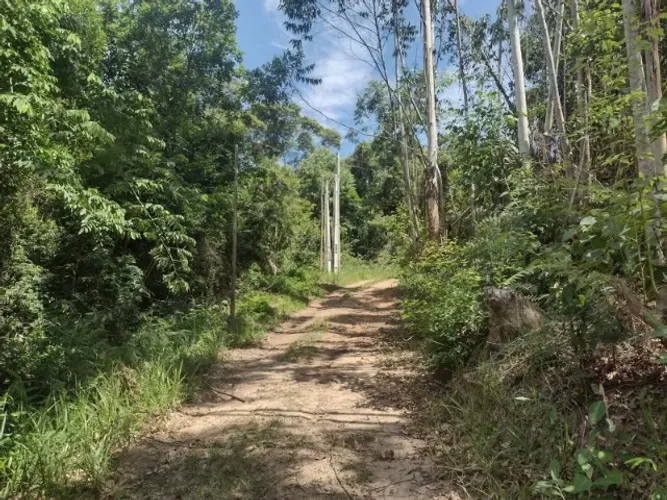 Terreno, rural