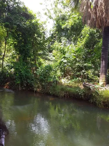 Fazenda em são Félix do Jalapão