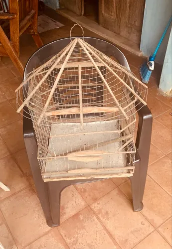 Gaiola bonita