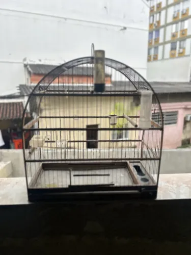 Vendo duas gaiolas de madeira e fibra com teto abaulado