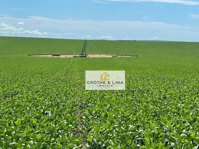 Fazenda à venda com 15.000 hectares em Itiquira/MT.