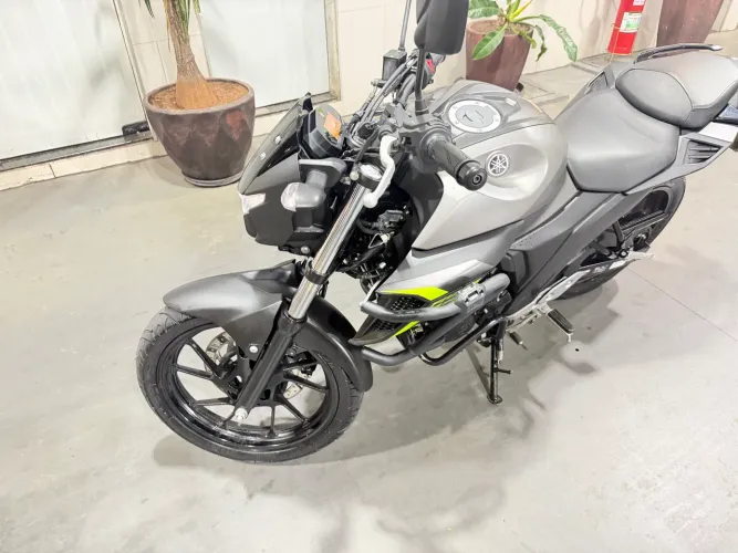 Fezer 250 CINZA