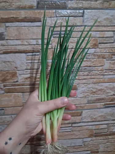Cebolinha artificial enfeite 5 unidades