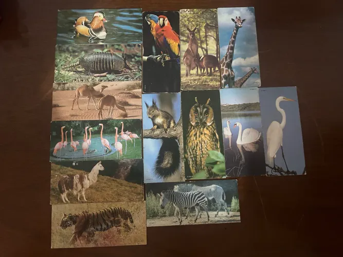 Figurinhas Surpresa Antigas