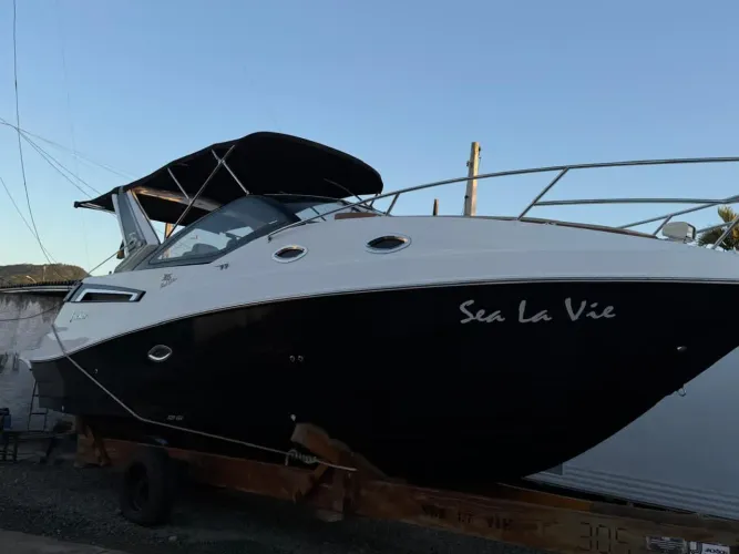 Focker 305 Black Edition 2021