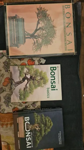 Lote 3 Livros de Bonsai (Importados/Inglês)