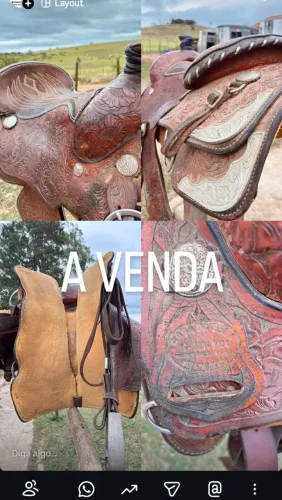 Sela para cavalos otimo estado estão muito novas