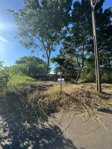 Terreno à venda no bairro Privê Lírios do Campo - Anápolis/GO