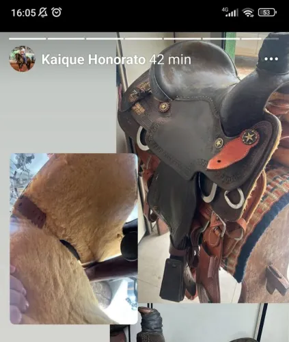 Vendo sela prohorse 15 muito conservada acompanha barrigueiras e peiteira 