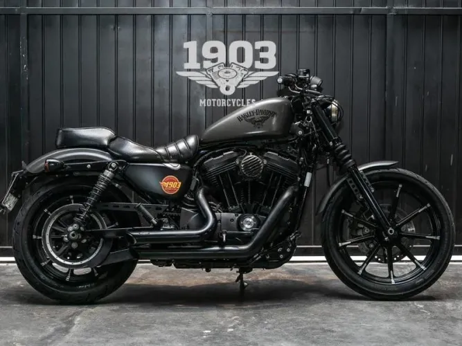 HARLEY-DAVIDSON XL883N 2018