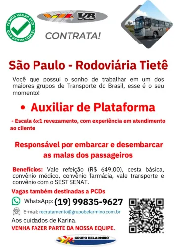 Auxiliar de Plataforma