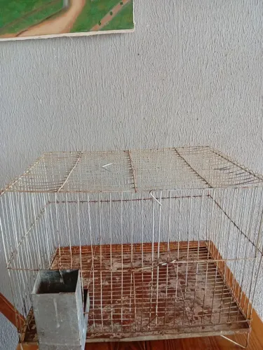 Gaiola pra coelhos!!