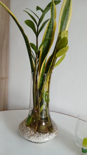 Vaso de vidro