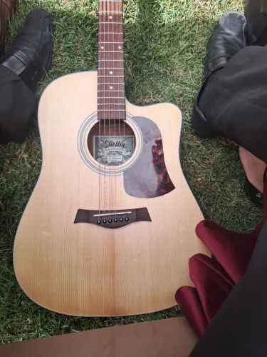 Violão Shelb 750