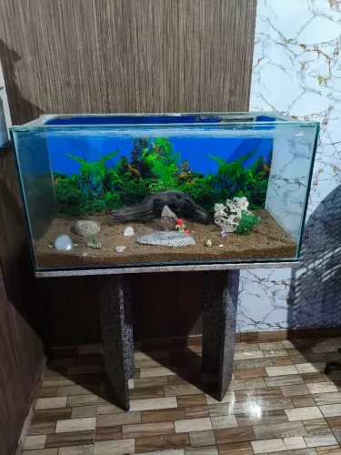 "VENDO AQUÁRIO 200 LITROS GRANDE.