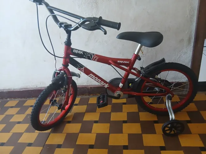 Bicicleta 